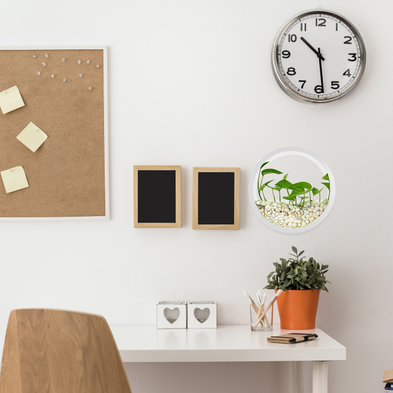 Vertical Wall Planter - مزهرية معلقة على الحائط دائرية شفافة