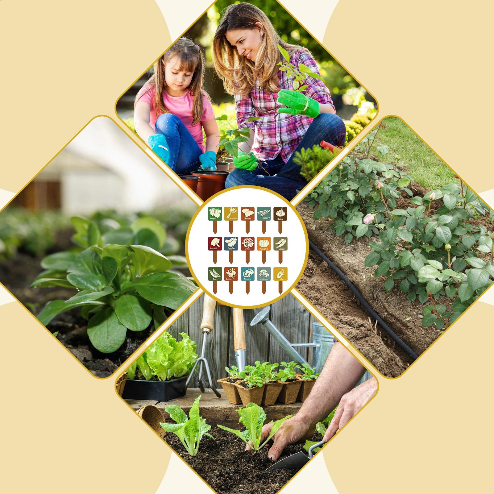 Garden Row Marker - علامات نباتات الحديقة 15 قطعة على