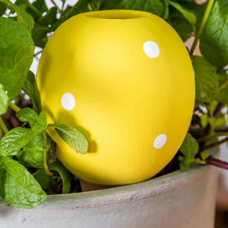 Gardening Tools Description - لمبات سقي السيراميك الأواني يبطئ إطلاق