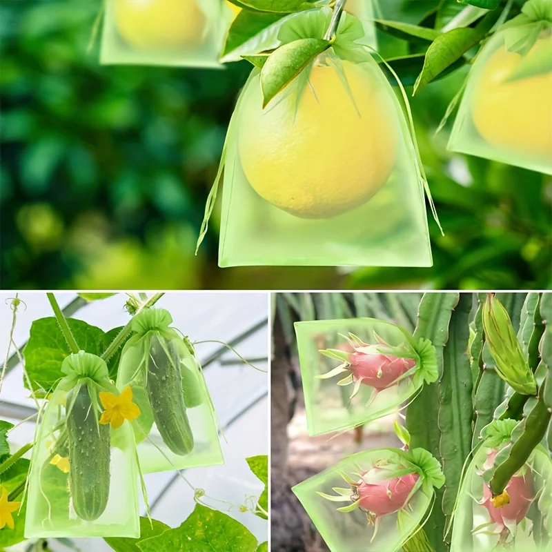 100 قطعة من الأكياس الواقية ال - مراجعة Grow Bags وسعره