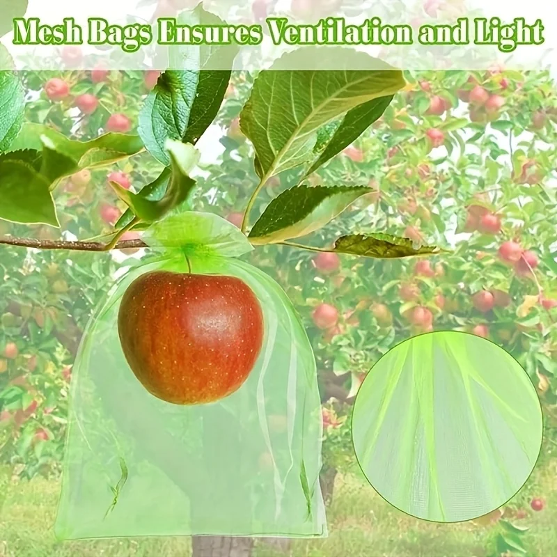 100 قطعة من الأكياس الواقية ال - مراجعة Grow Bags وسعره