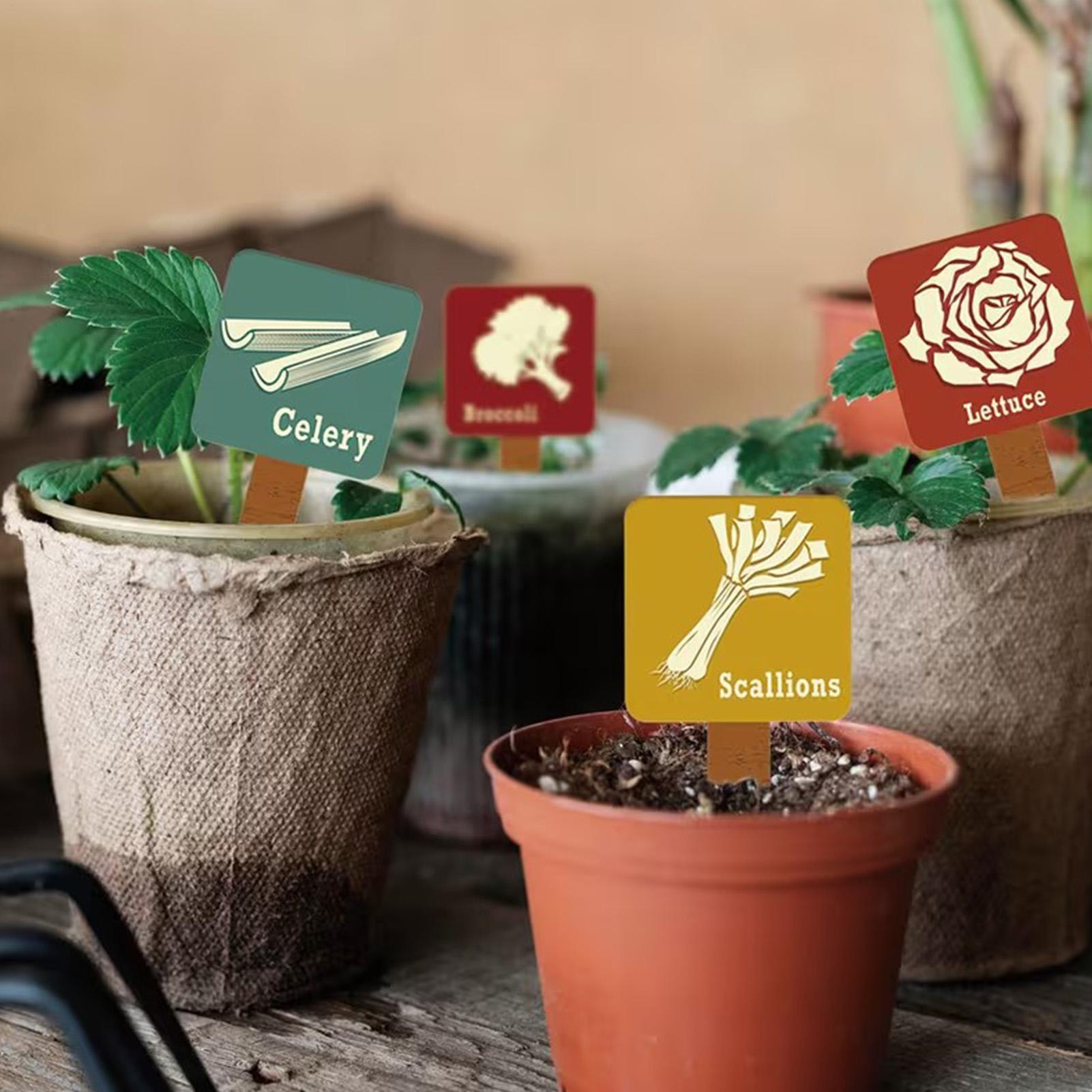علامات نباتات الحديقة 15 قطعة  - مراجعة Garden Row Marker وسعره