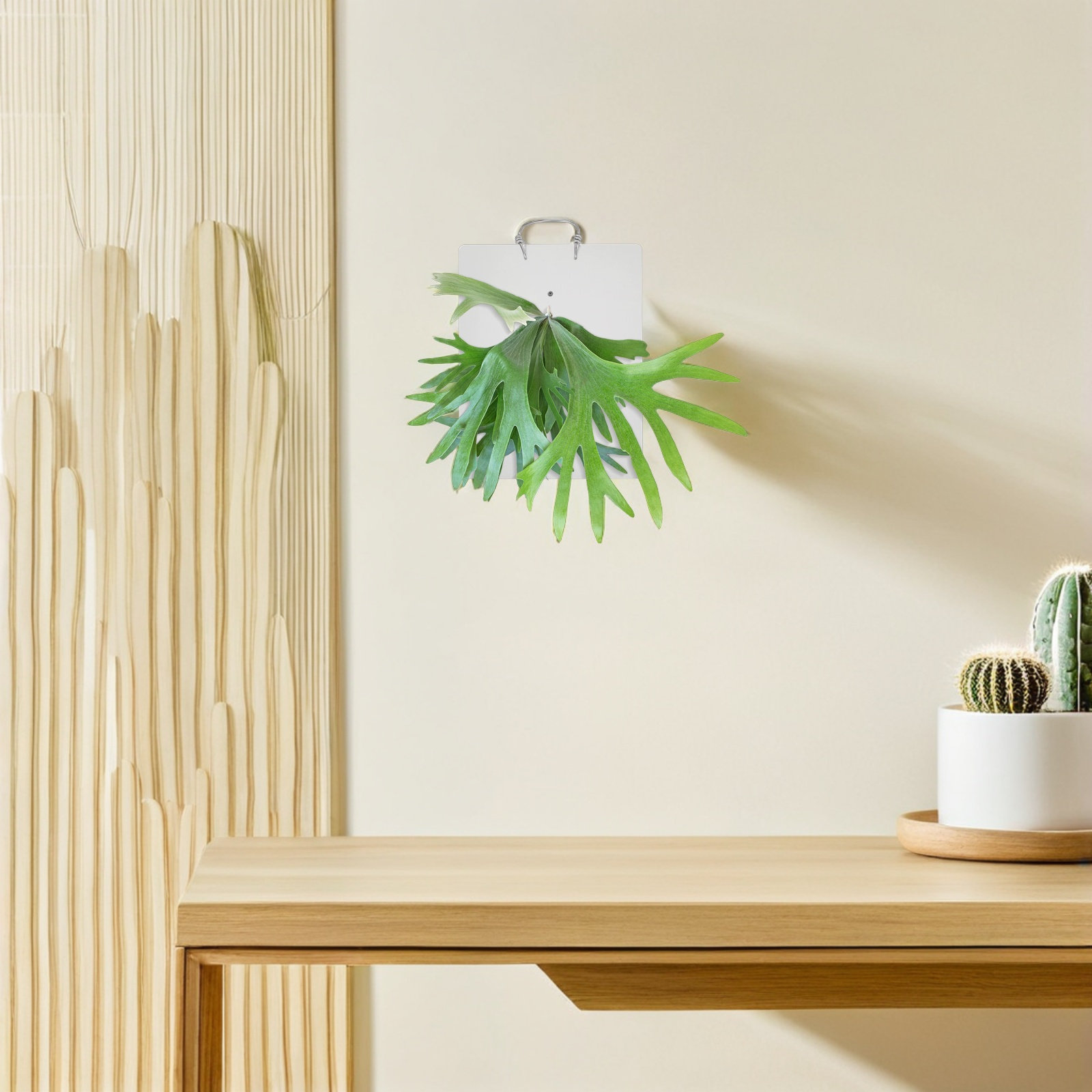 لوح تثبيت نباتات الأكريليك من  - مراجعة Vertical Wall Planter وسعره