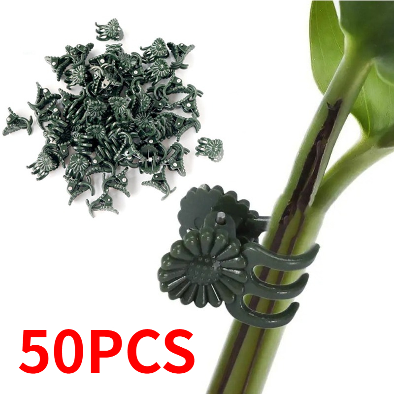 50 قطعة مشابك نباتات خضراء داك - مراجعة Gardening Tools Bundle وسعره