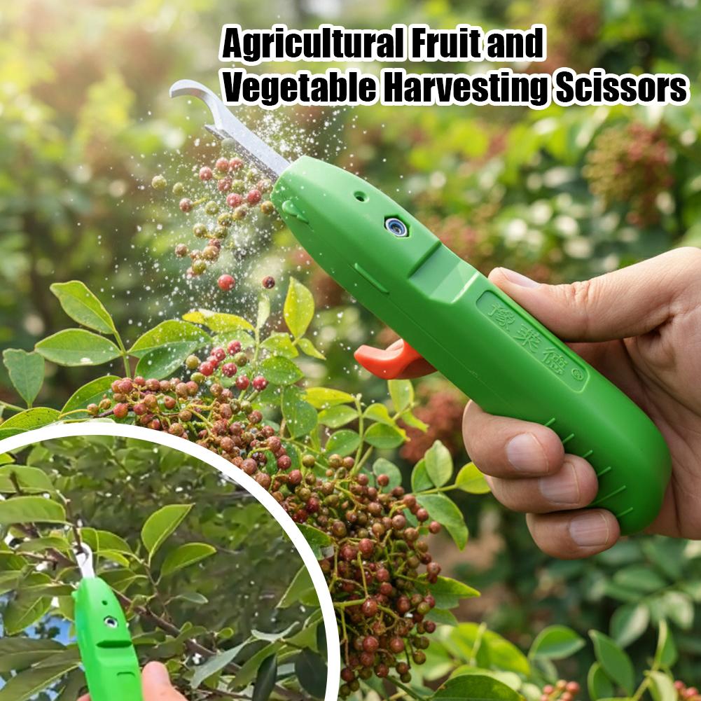 مقصات قطف الفاكهة والخضروات، م - مراجعة Gardening Tools Wholesale وسعره