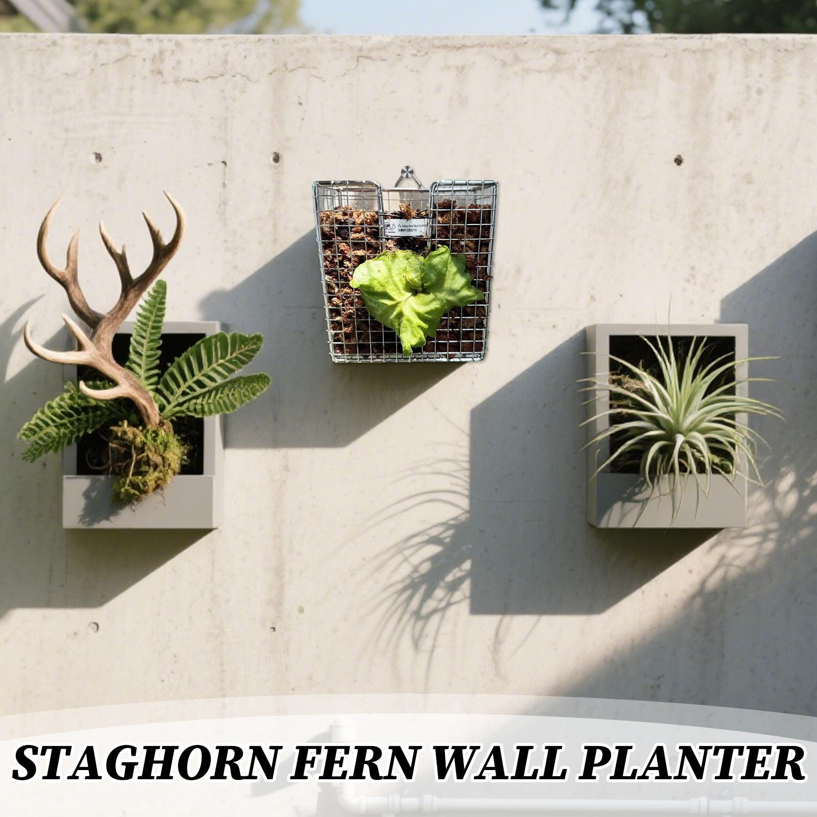 مجموعة أدوات تركيب السرخس من ا - مراجعة Vertical Wall Planter وسعره