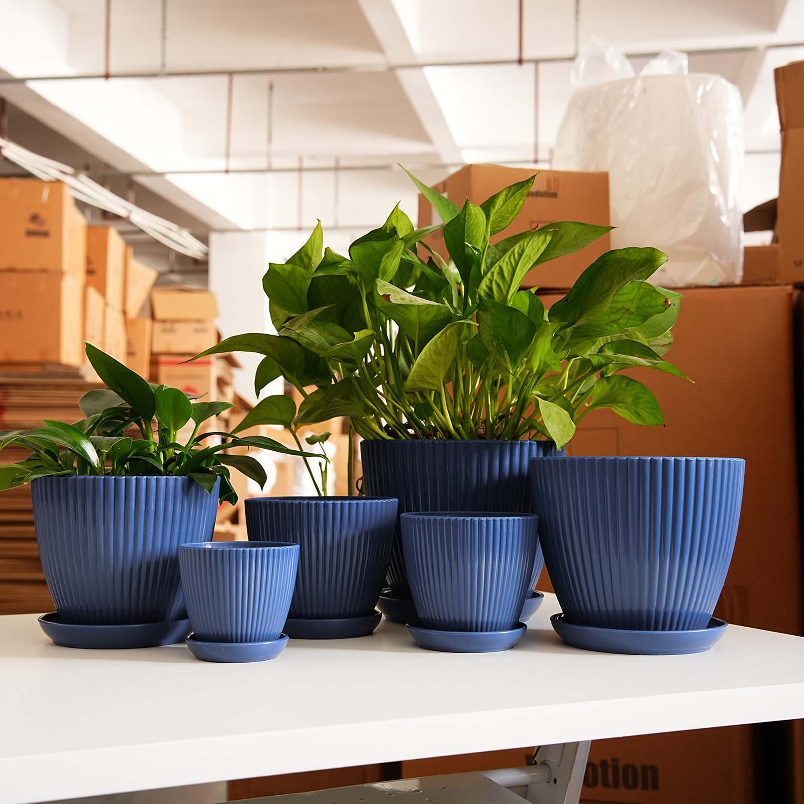 وعاء نباتات بلاستيكي سميك بخطو - مراجعة Vertical Wall Planter وسعره