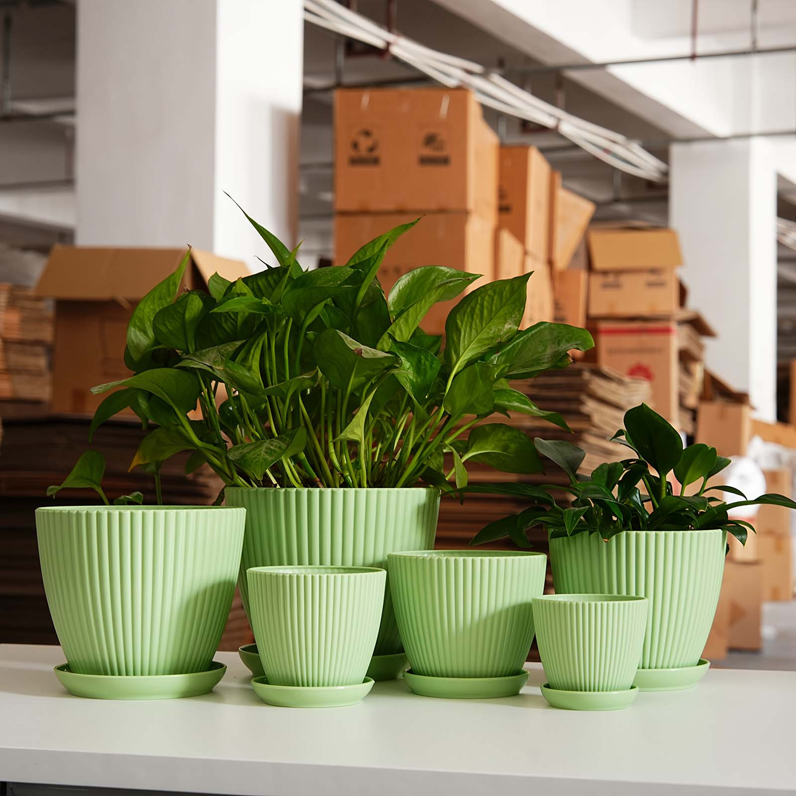 وعاء نباتات بلاستيكي سميك بخطو - مراجعة Vertical Wall Planter وسعره