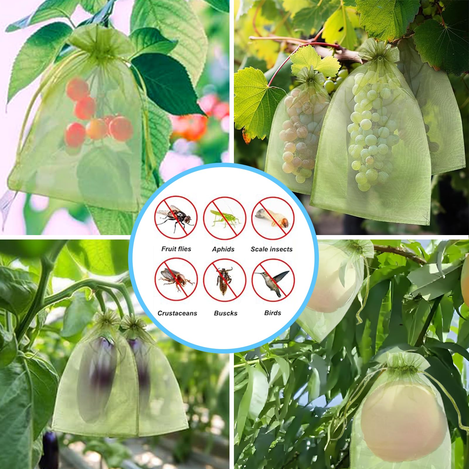 شبكة فعالة مضادة للطيور لحماية - مراجعة Grow Bags وسعره