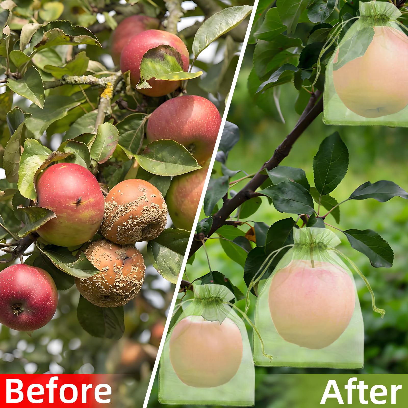 شبكة فعالة مضادة للطيور لحماية - مراجعة Grow Bags وسعره