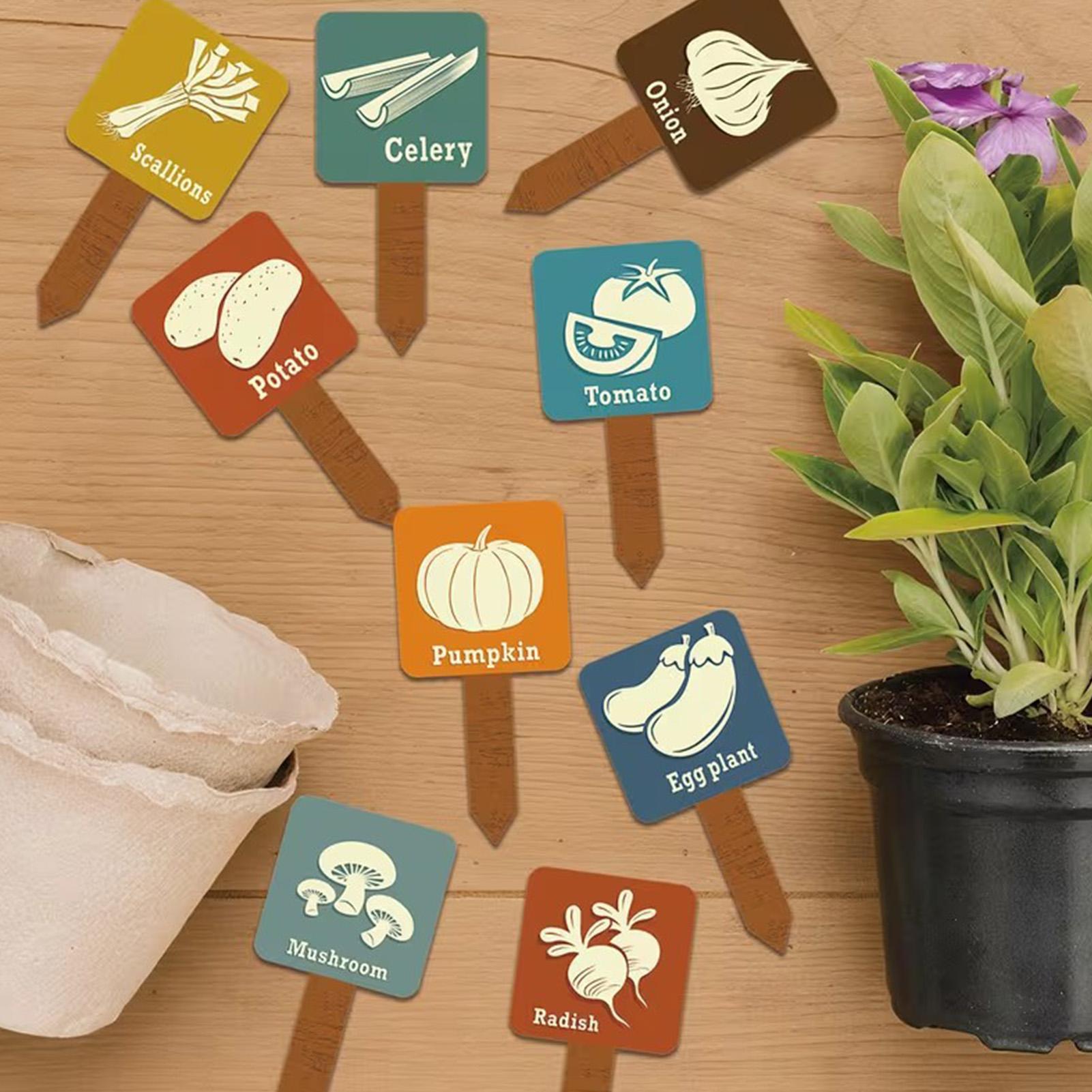 علامات حديقة الخضروات 15 قطعة، - مراجعة Garden Row Marker وسعره