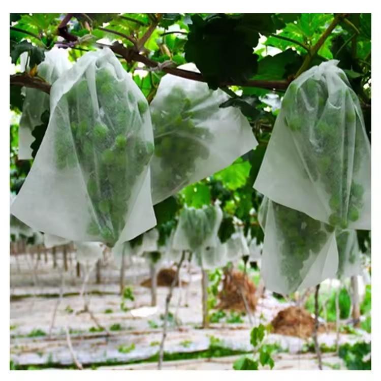 50 قطعة من أكياس حماية الفاكهة - مراجعة Grow Bags وسعره