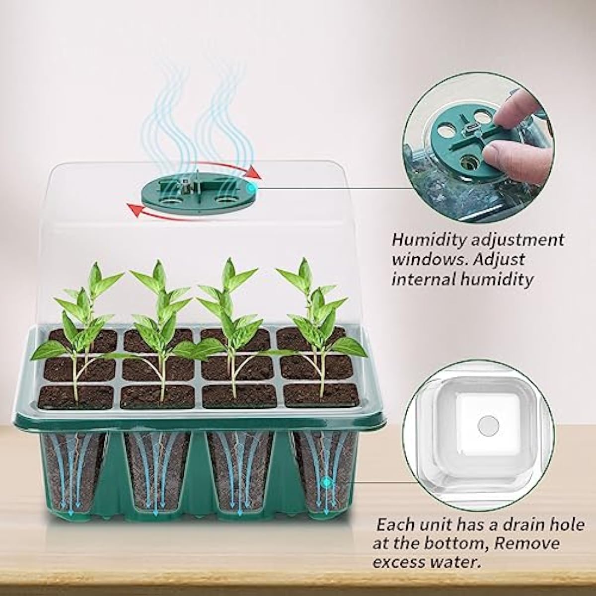 مجموعة تكاثر البذور مع قبة قاب - مراجعة Propagation Tray Dome وسعره