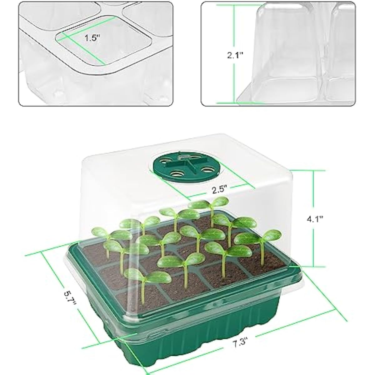 مجموعة تكاثر البذور مع قبة قاب - مراجعة Propagation Tray Dome وسعره