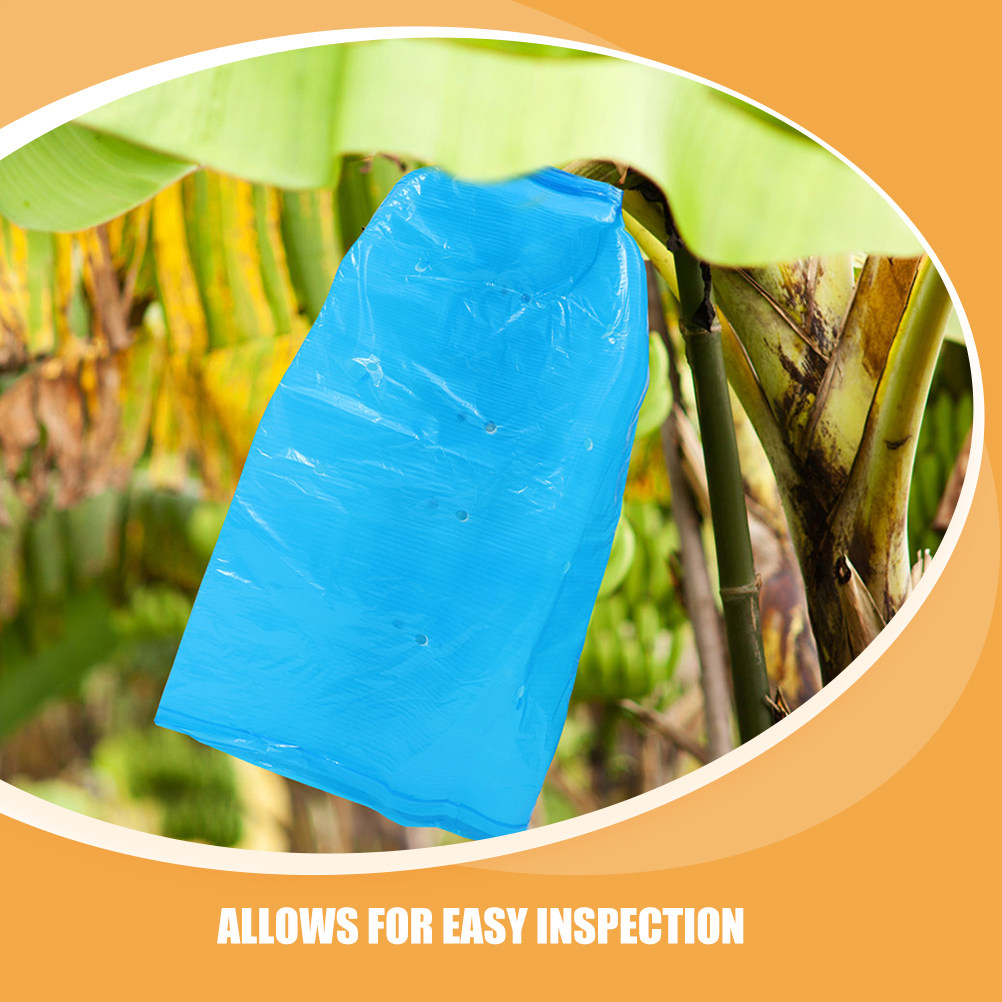 قطعتان من أكياس زراعة الموز، أ - مراجعة Grow Bags وسعره