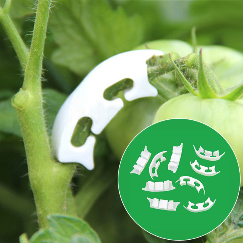 50/100 قطعة بوتاني الجذعية الك - مراجعة Gardening Tools Bundle وسعره