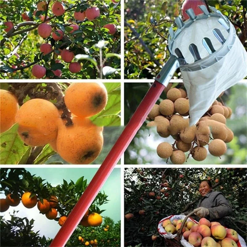 أداة التقاط الفاكهة للحدائق وا - مراجعة Grow Bags وسعره