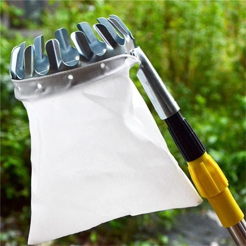 أداة التقاط الفاكهة للحدائق وا - مراجعة Grow Bags وسعره