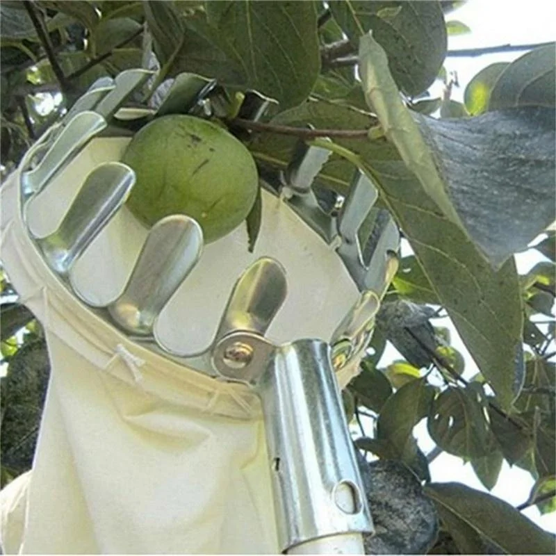 أداة التقاط الفاكهة للحدائق وا - مراجعة Grow Bags وسعره