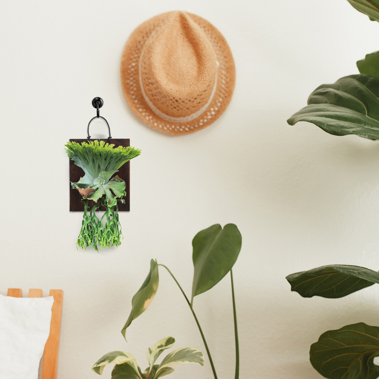 لوح تثبيت نبات السرخس على شكل  - مراجعة Vertical Wall Planter وسعره