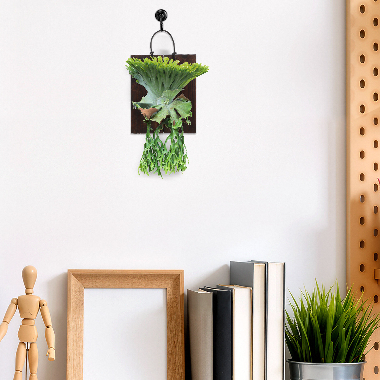 لوح تثبيت نبات السرخس على شكل  - مراجعة Vertical Wall Planter وسعره