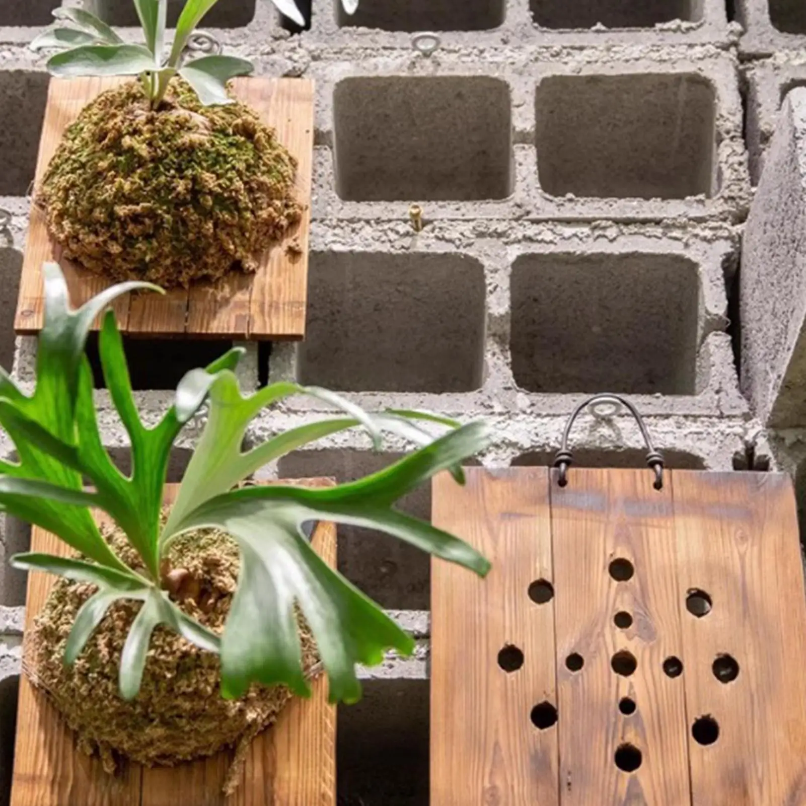 قطعة واحدة من لوحة تعليق نباتا - مراجعة Vertical Wall Planter وسعره