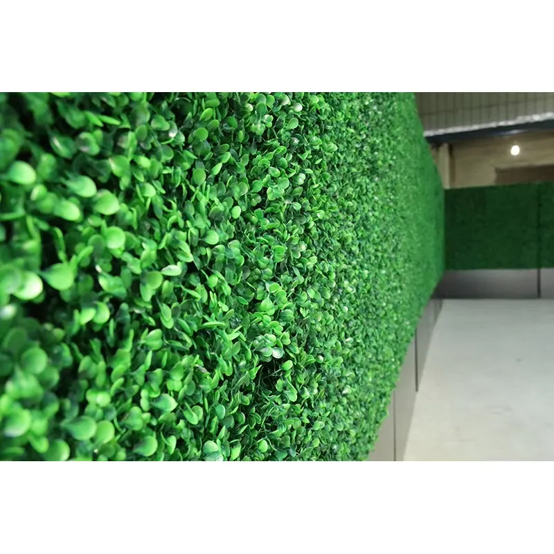 CQ-001 حديقة عمودية صديقة للبي - مراجعة Vertical Wall Planter وسعره