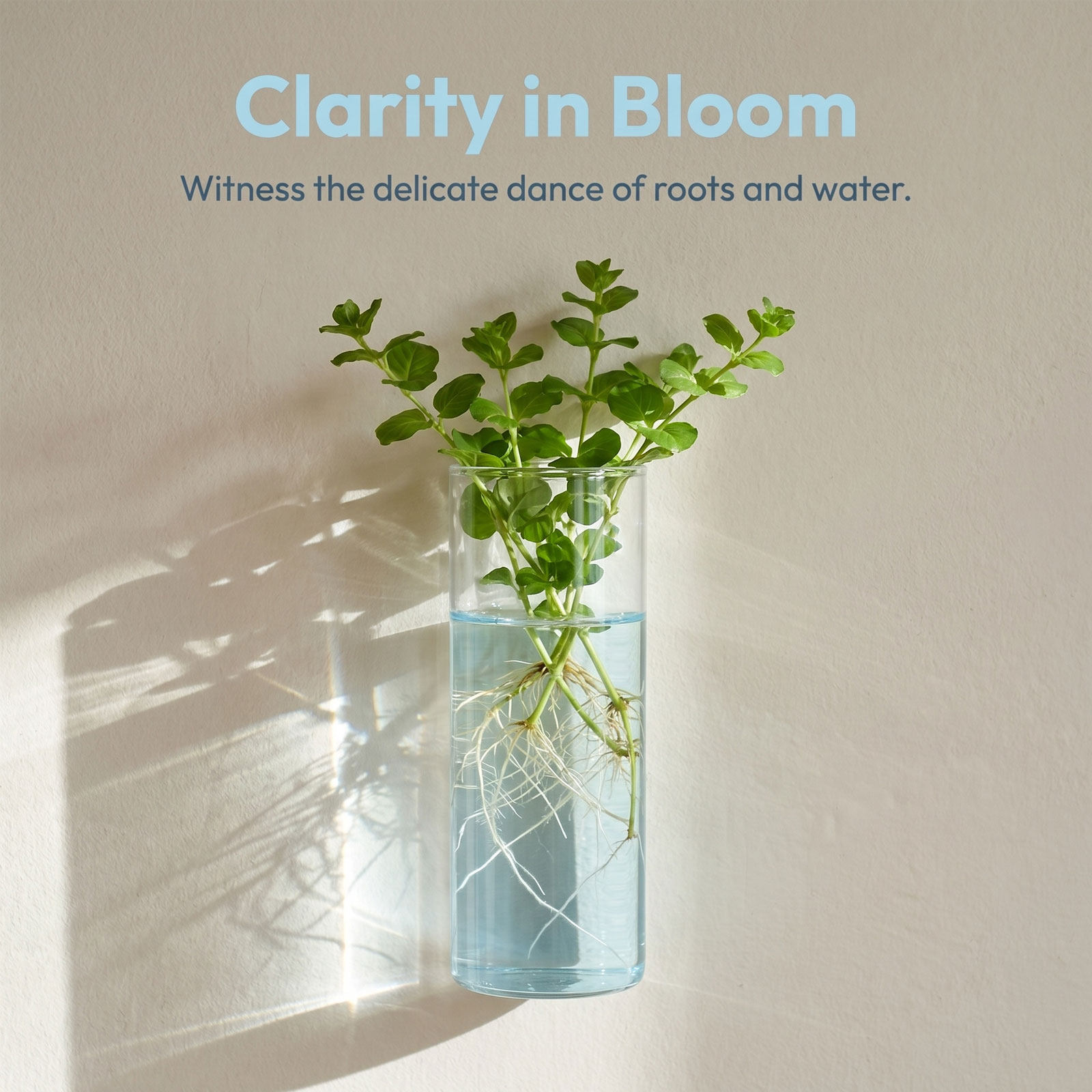 5 قطع من المزهريات الزجاجية ال - مراجعة Vertical Wall Planter وسعره