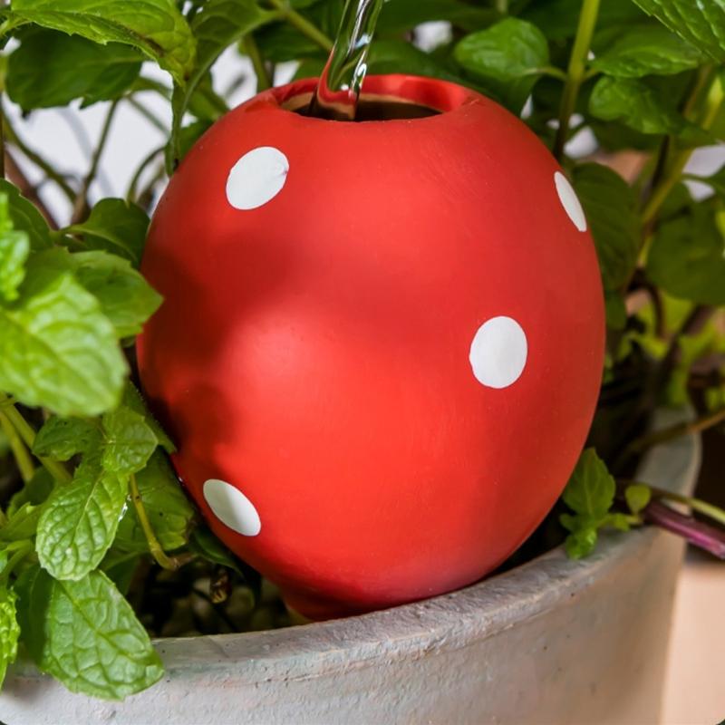 لمبات سقي السيراميك الأواني يب - مراجعة Gardening Tools Description وسعره