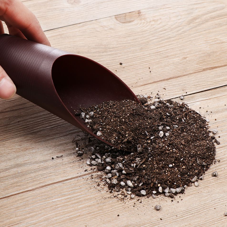 1 قطعة البلاستيك التربة مجرفة  - مراجعة Gardening Tools Brands وسعره