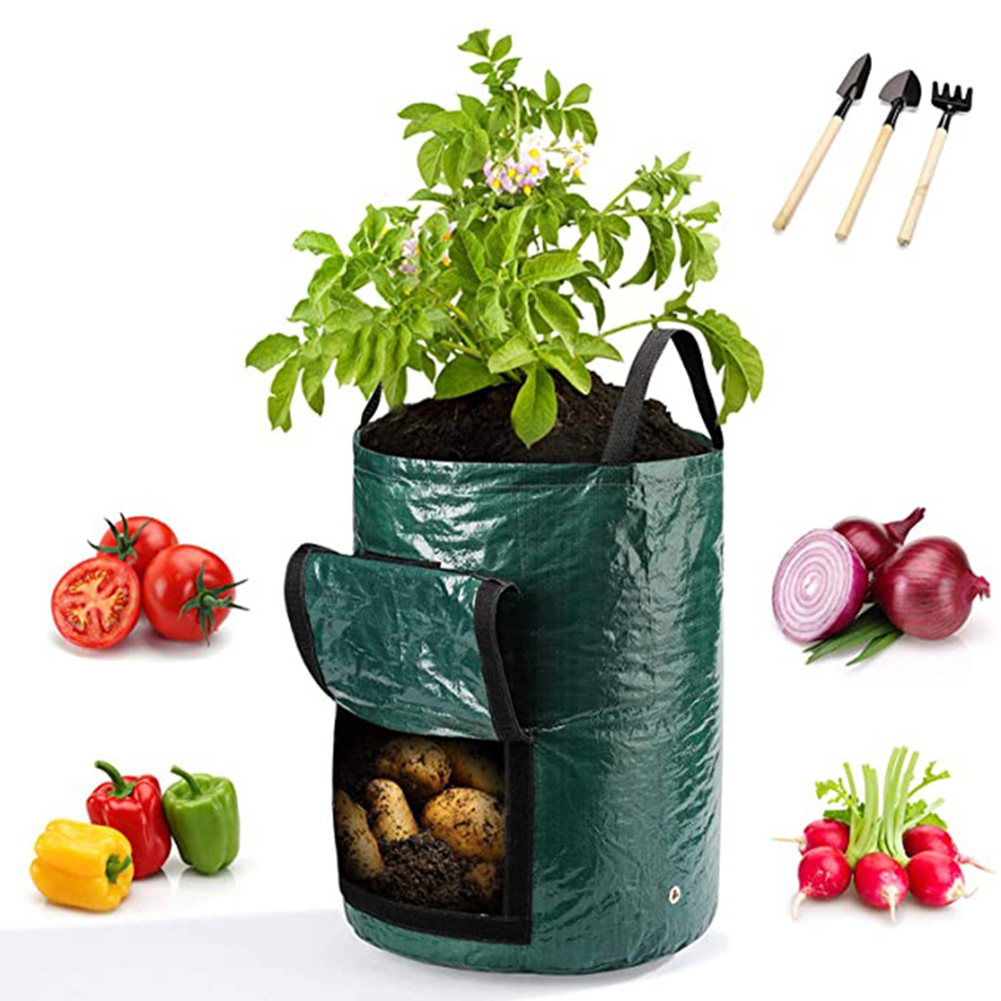 1 قطعة من أكياس الزراعة سعة 10 - مراجعة Grow Bags وسعره